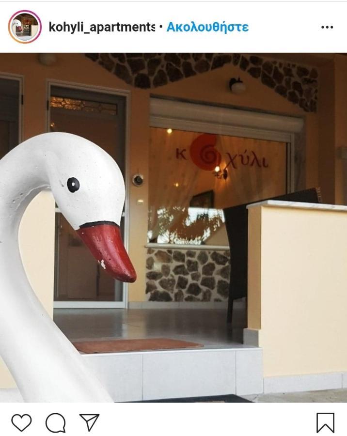 Kohyli Apartments Skala Rachoni  ภายนอก รูปภาพ